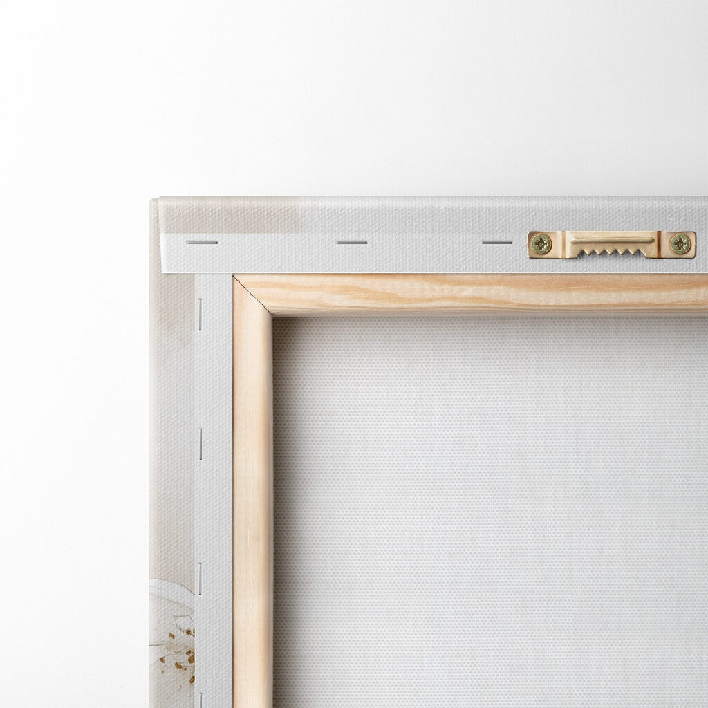 Cup of coffee and macaroons Cup of coffee and macaroons