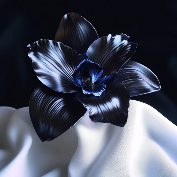 Black flower on a white cloth Black flower on a white cloth