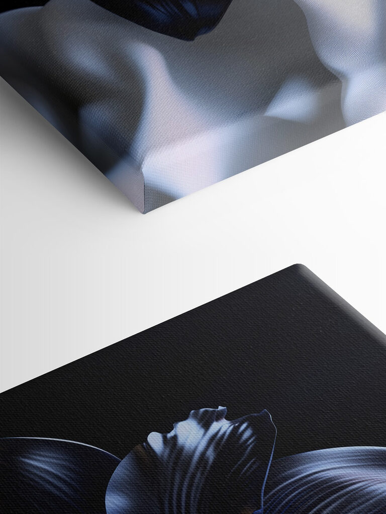 Black flower on a white cloth Black flower on a white cloth