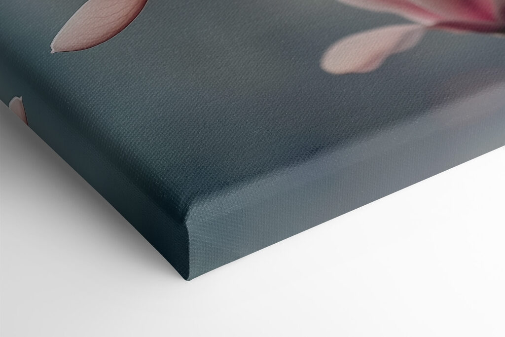 Delicate petals in soft hues Delicate petals in soft hues