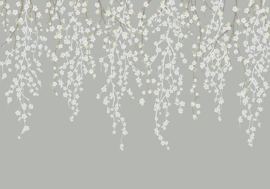 White flowers on a tree branch White flowers on a tree branch