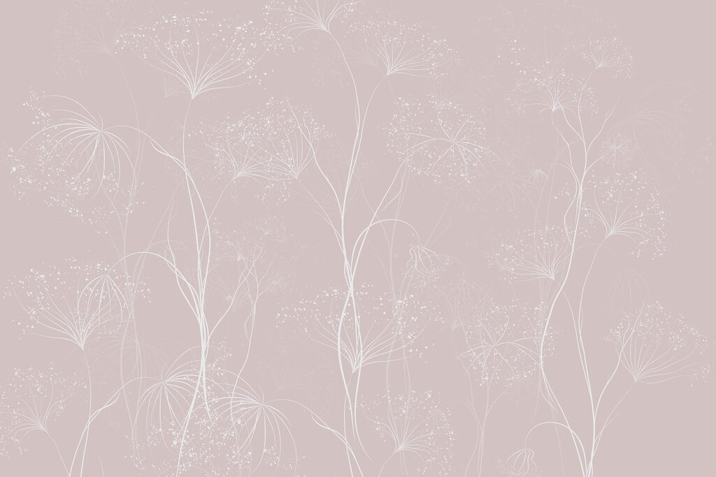 White flowers on a pink background