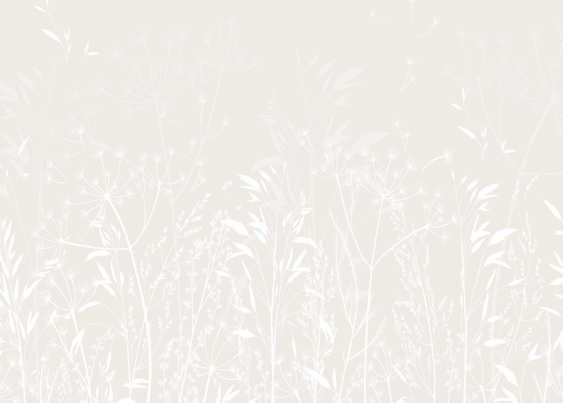 White floral pattern on a white background White floral pattern on a white background