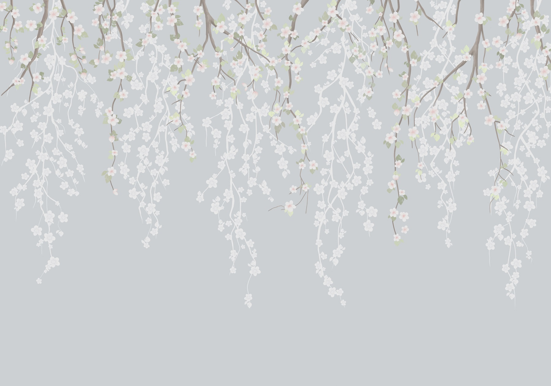 White flowers on a tree branch