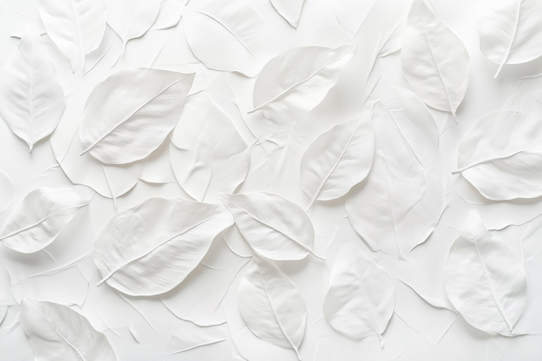 Group of white leaves