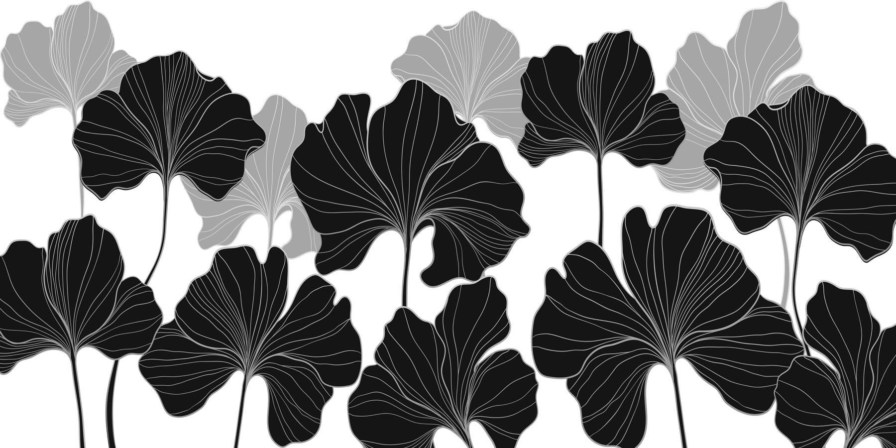 Black and white floral design Black and white floral design