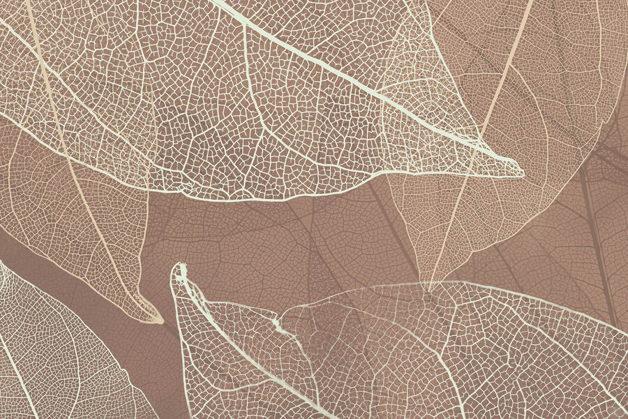 Delicate veins of nature's artwork Delicate veins of nature's artwork