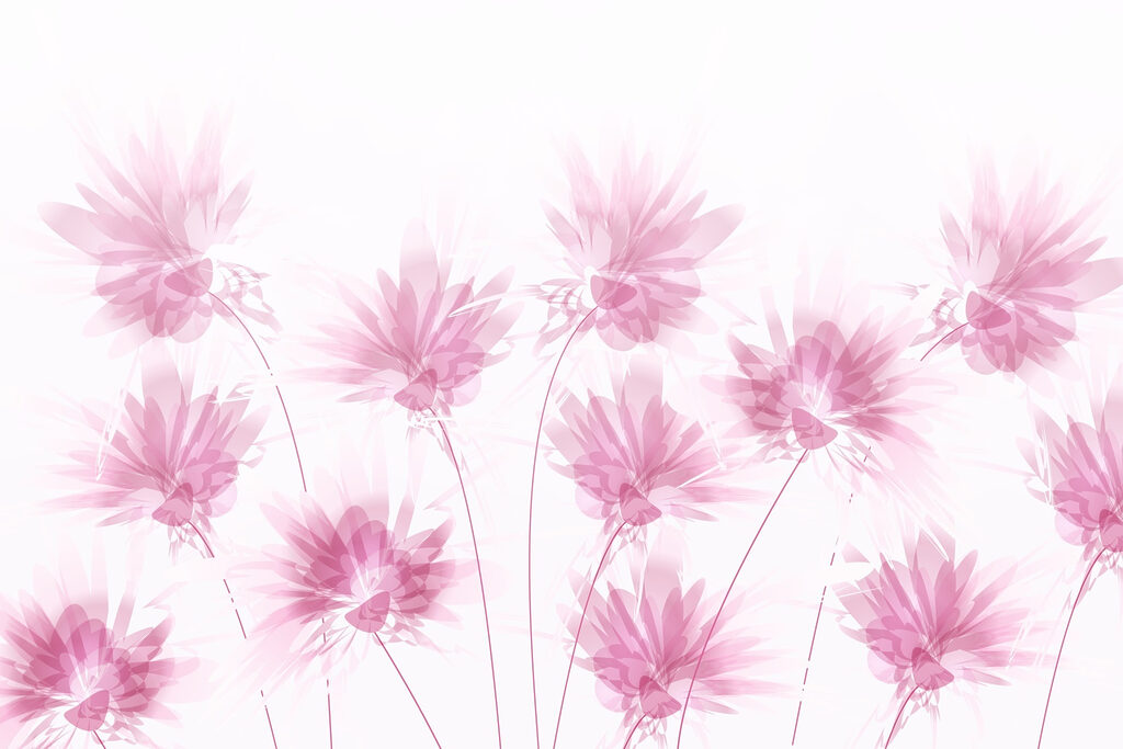 Group of pink flowers