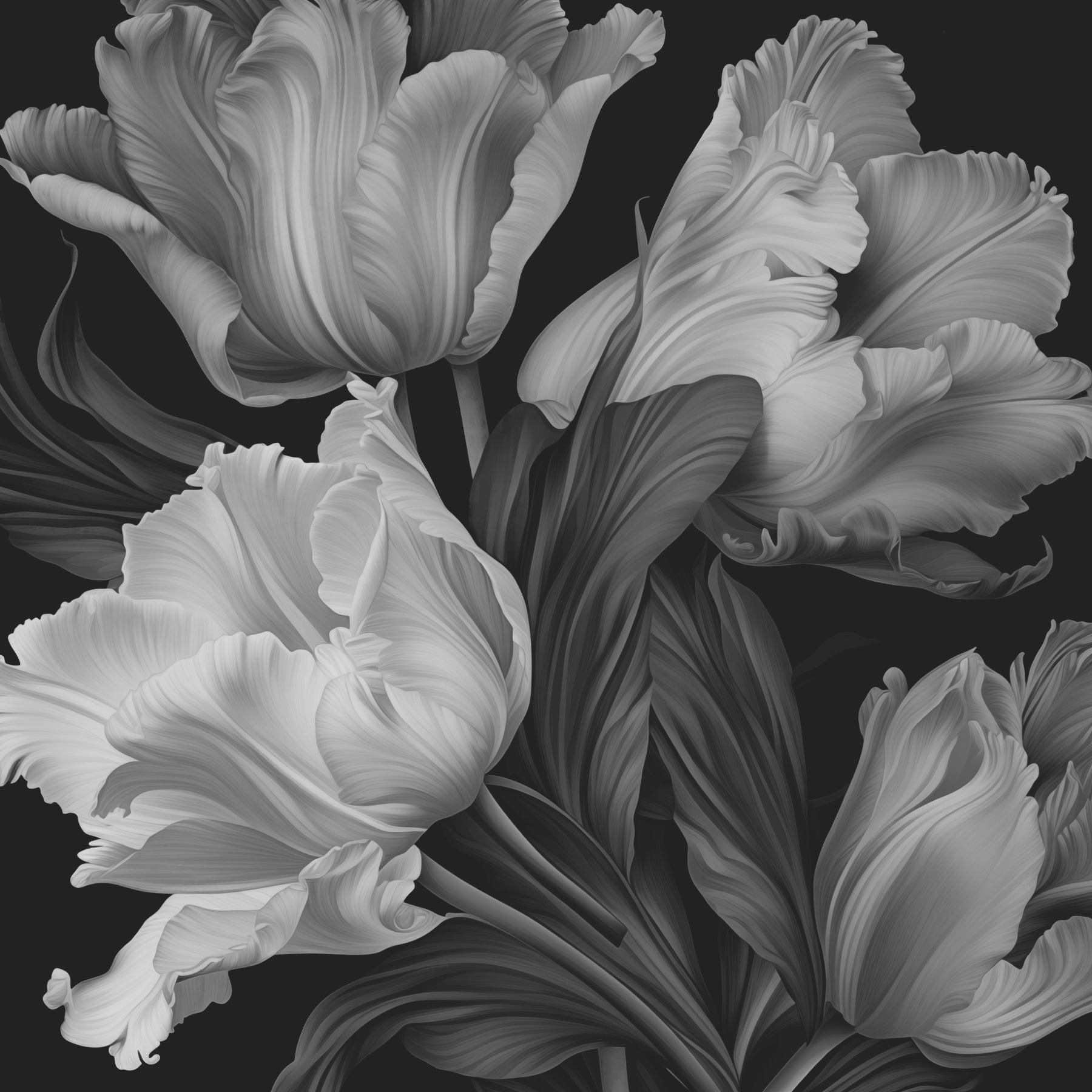 Delicate petals in monochrome tones