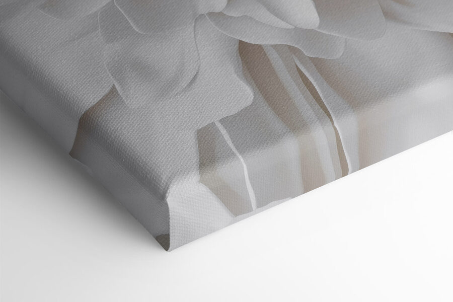 Delicate layers of soft petals Delicate layers of soft petals