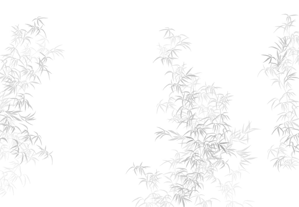 White background with leaves