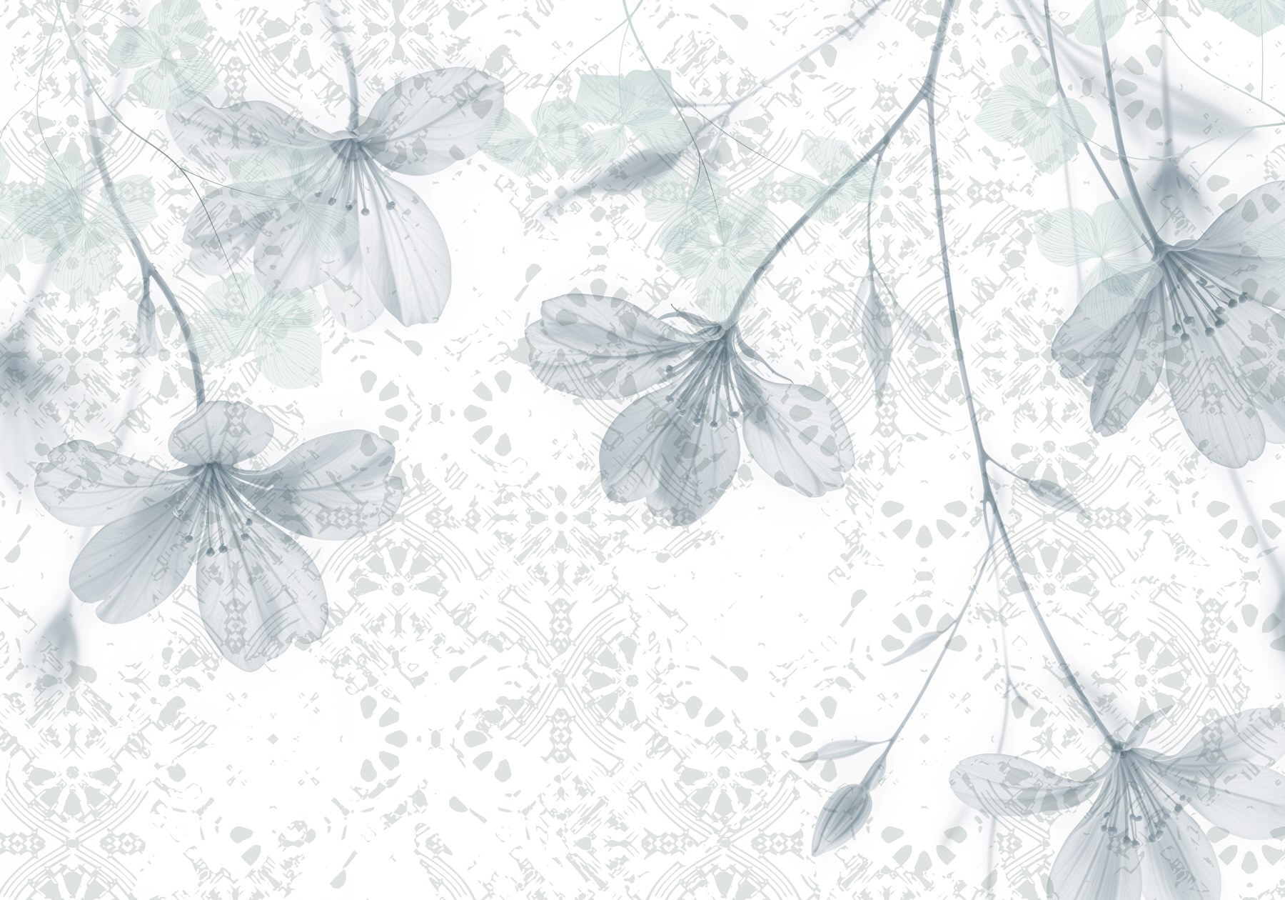 Delicate blooms on a soft background Delicate blooms on a soft background