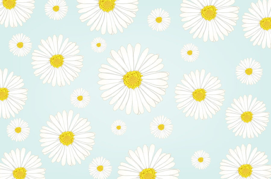 Pattern of white and yellow flowers Pattern of white and yellow flowers
