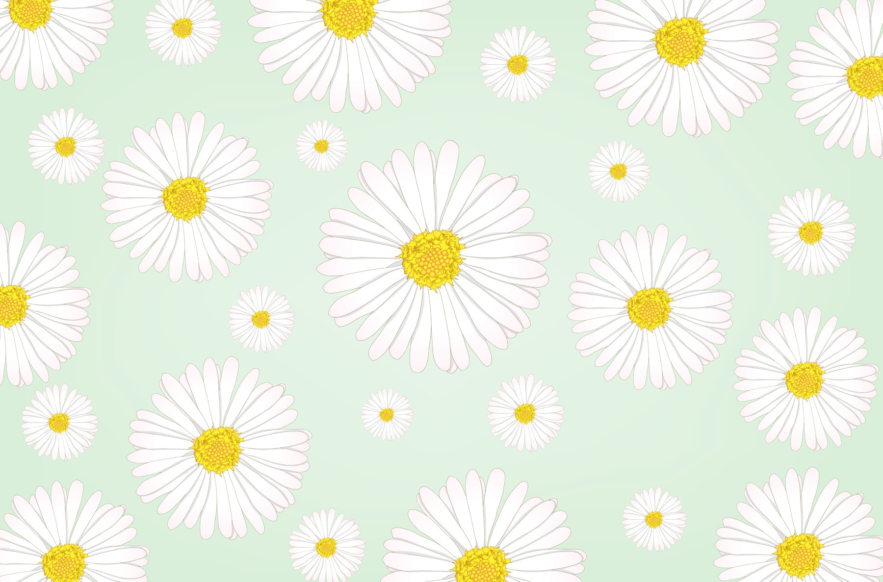 Pattern of white and yellow flowers Pattern of white and yellow flowers