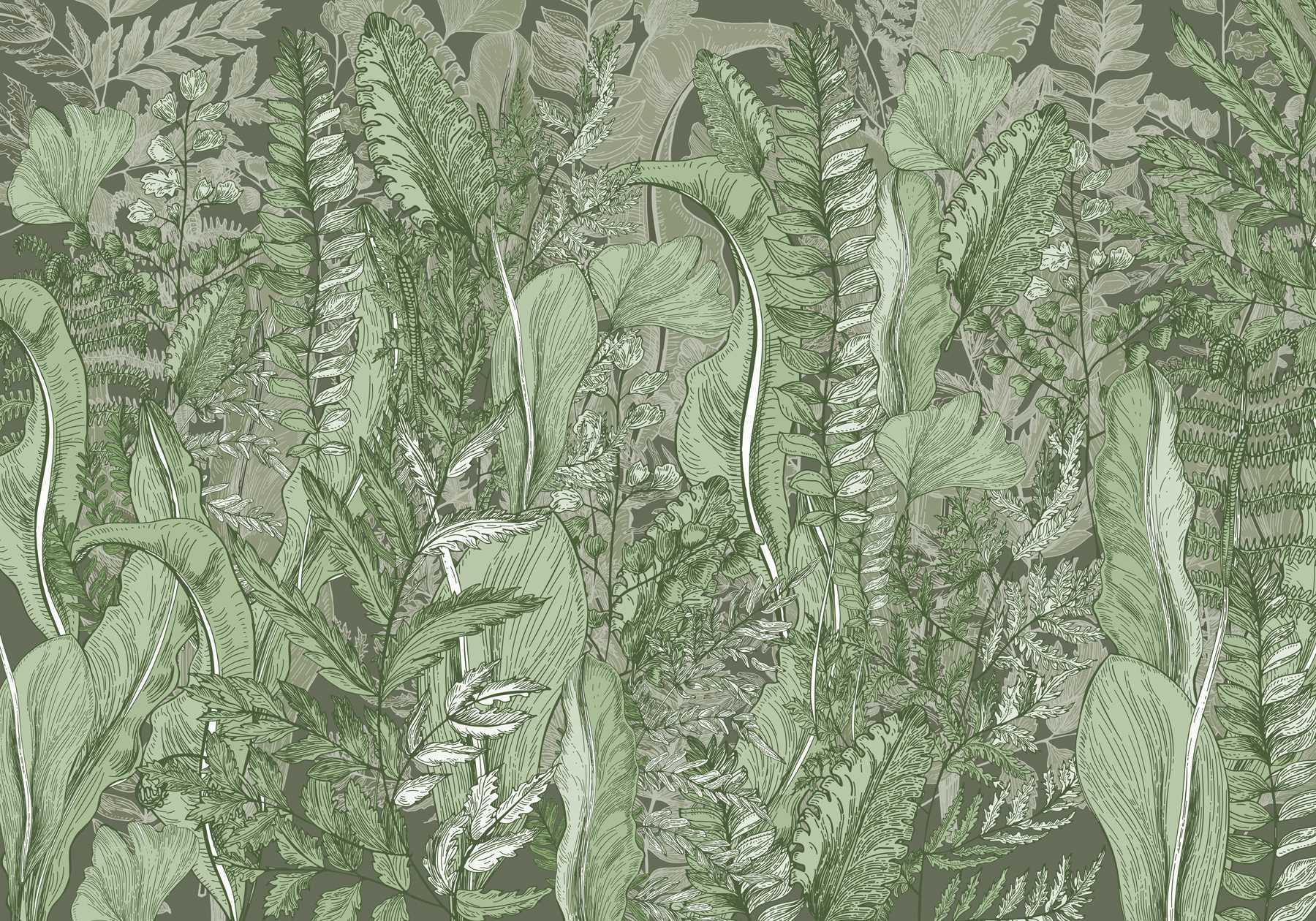 Nature's harmony in leafy patterns