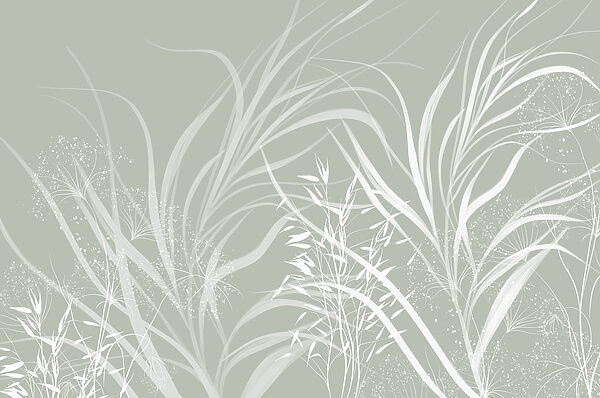 Soft patterns of nature's elegance Soft patterns of nature's elegance