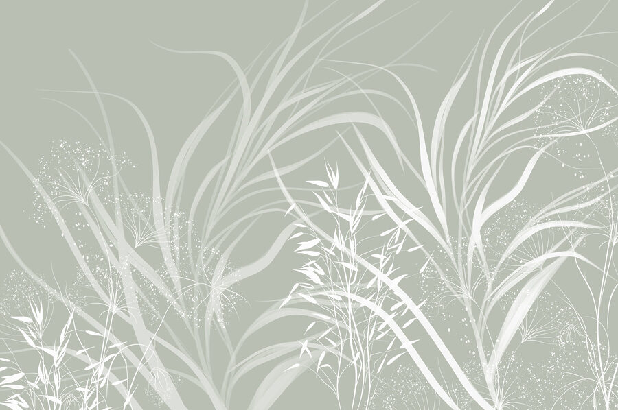 Soft patterns of nature's elegance Soft patterns of nature's elegance