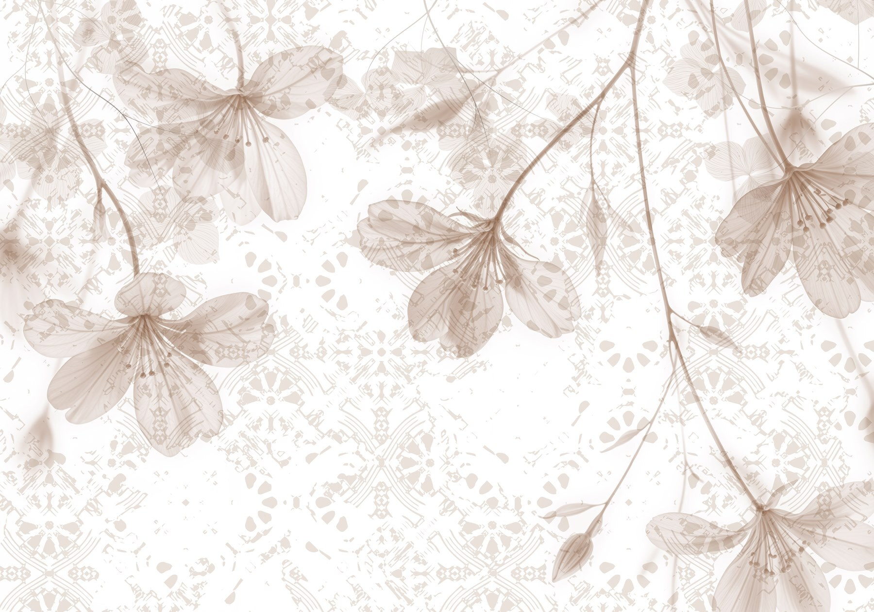 Delicate flowers in soft hues Delicate flowers in soft hues