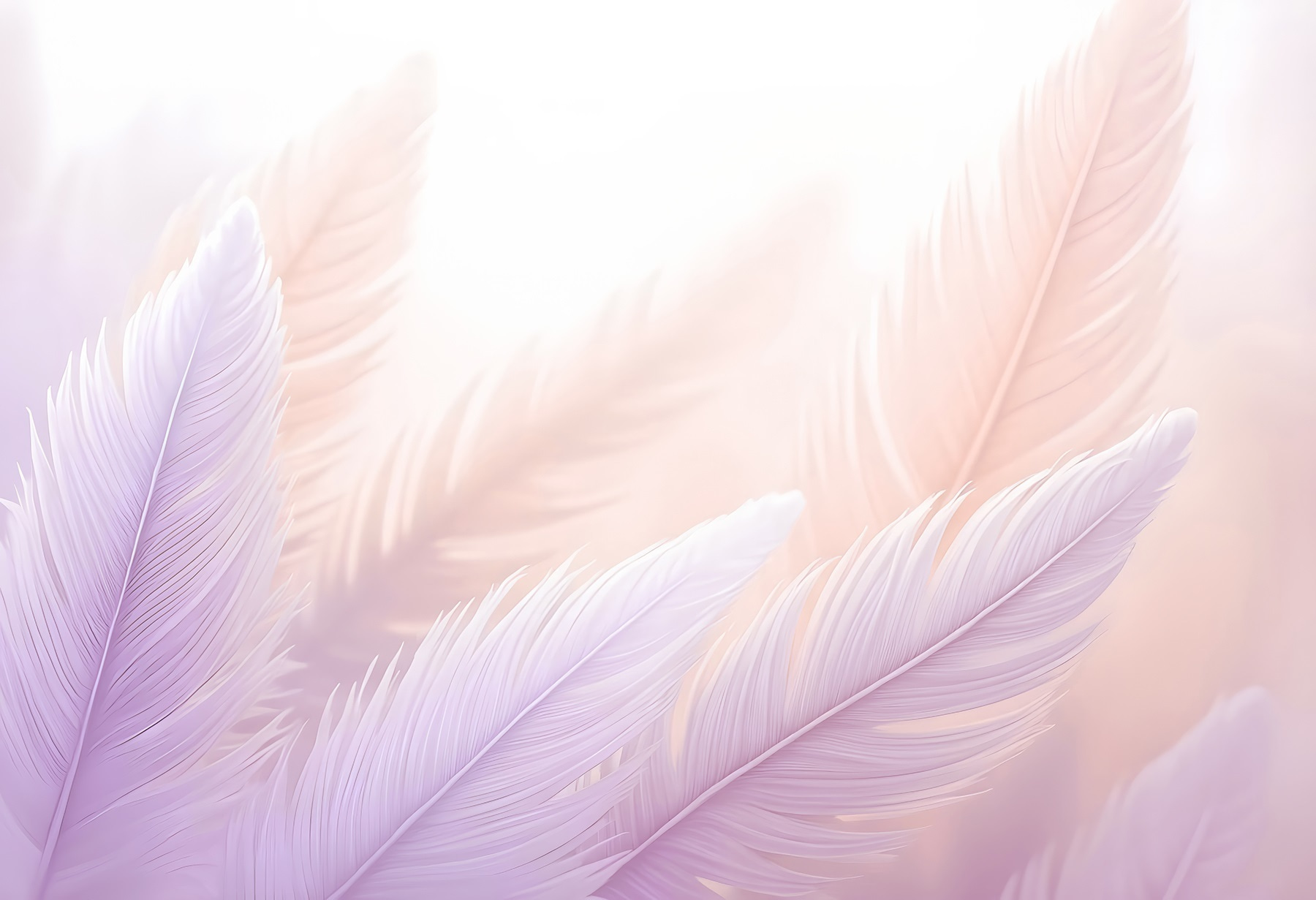 Delicate feathers in soft pastels Delicate feathers in soft pastels
