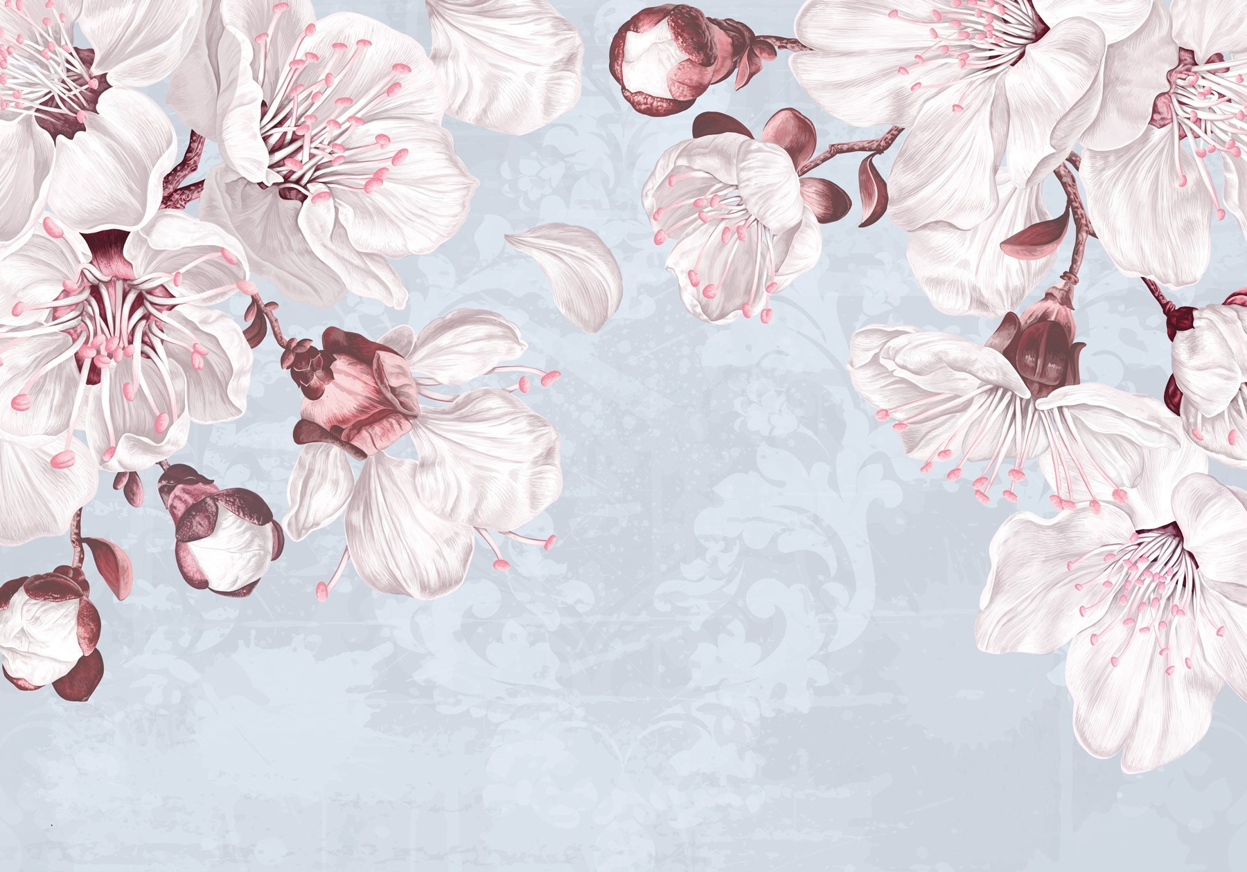 Delicate blooms on soft backdrop Delicate blooms on soft backdrop