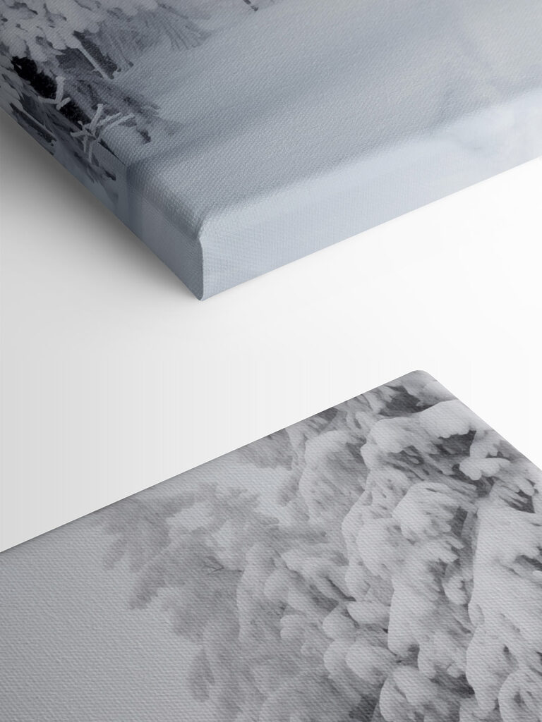 Snowy path with trees