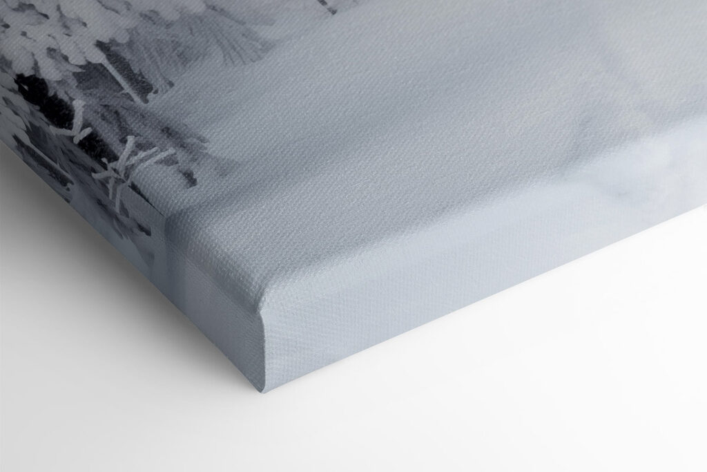 Snowy path with trees