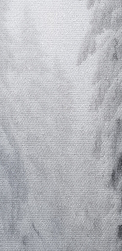 Snowy path with trees