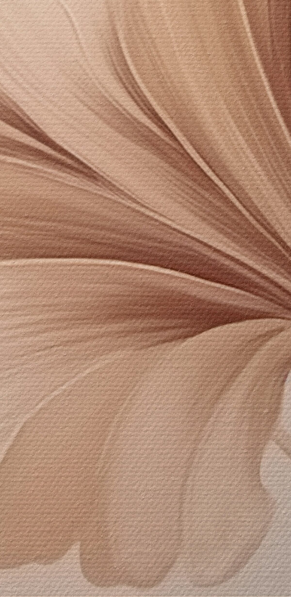 Soft hues of nature's beauty Soft hues of nature's beauty