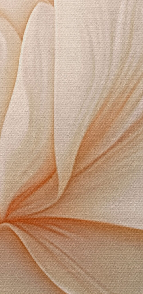 Delicate flower in soft tones