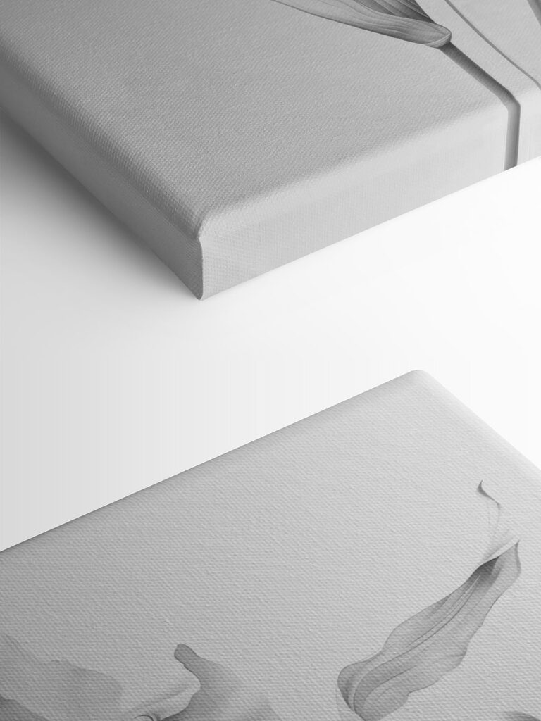 Delicate petals in soft monochrome hues