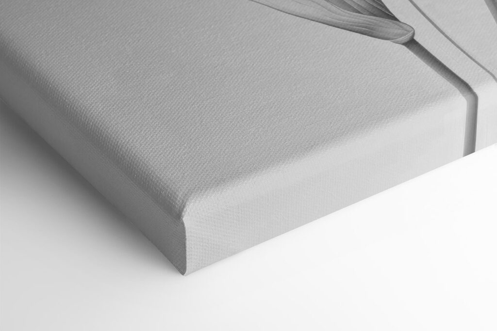 Delicate petals in soft monochrome hues