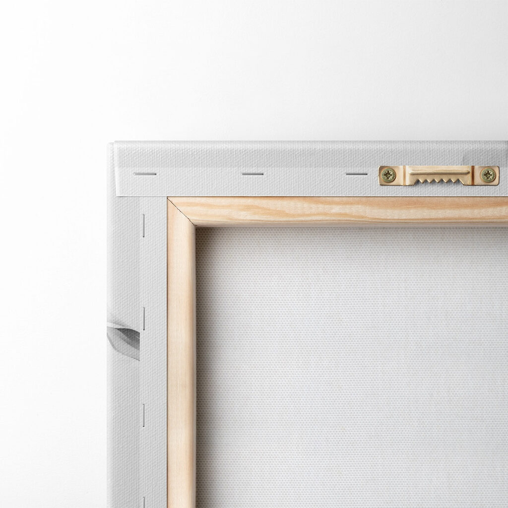 Delicate petals in soft monochrome hues