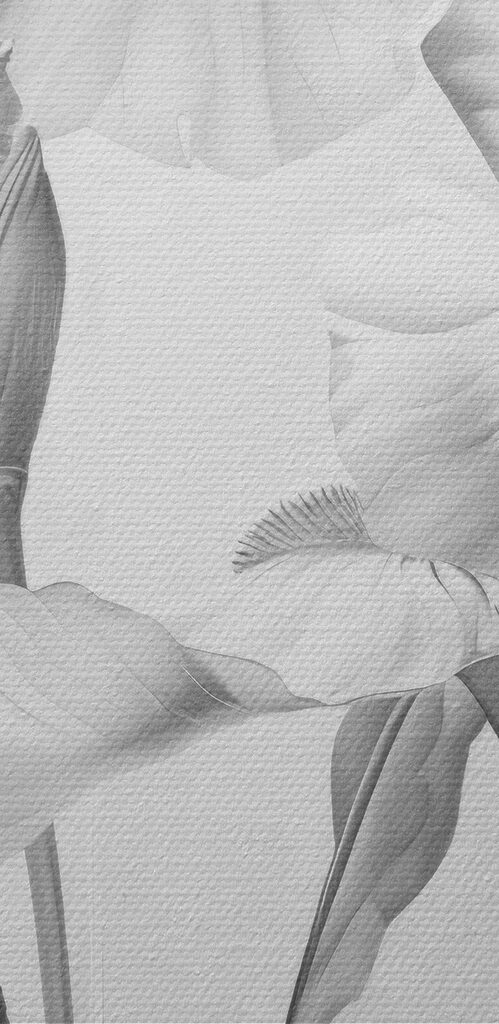 Delicate petals in soft monochrome hues