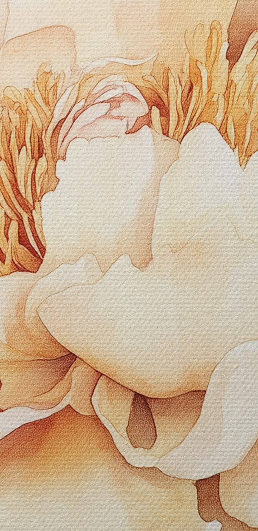 Delicate petals in soft hues Delicate petals in soft hues
