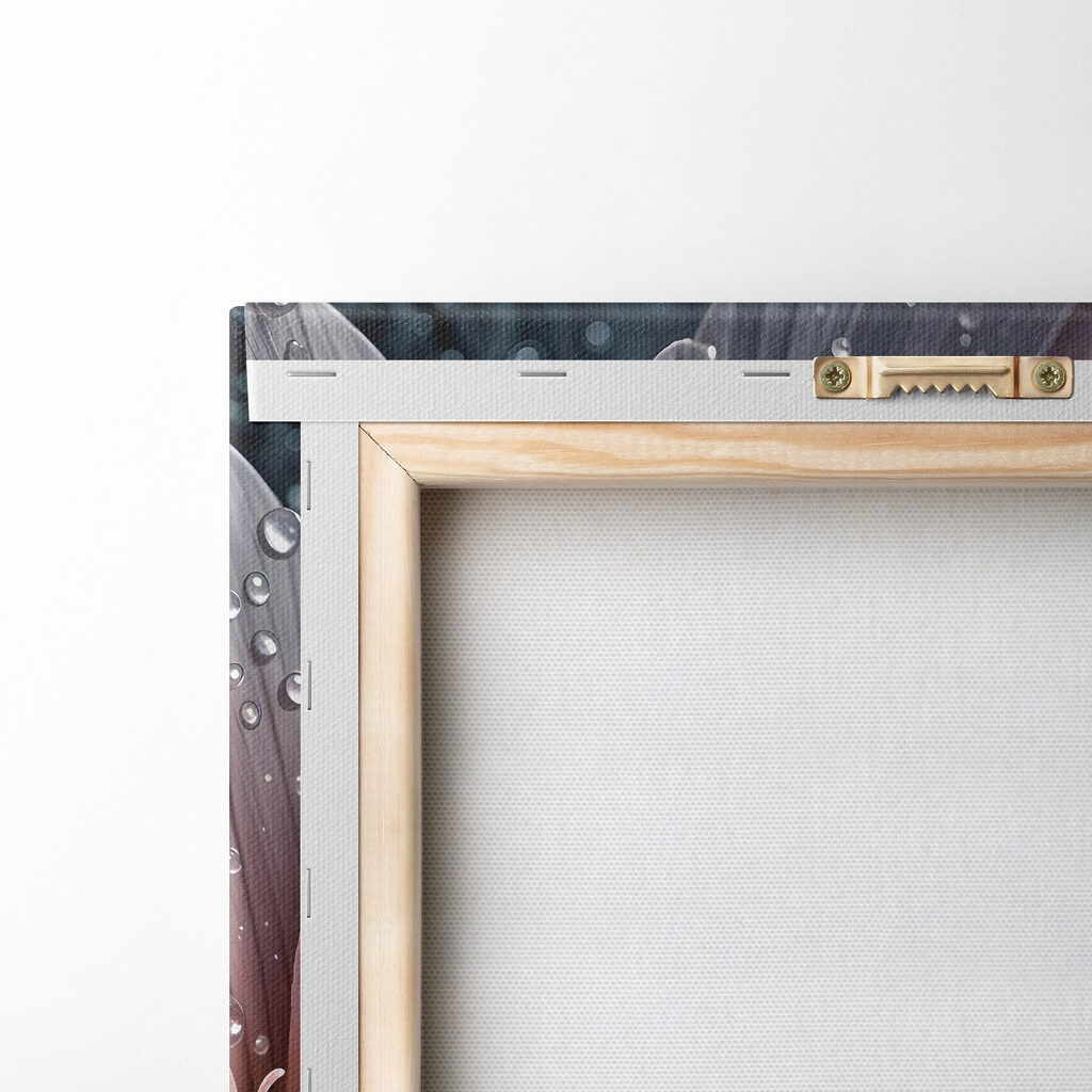 Delicate petals adorned with raindrops