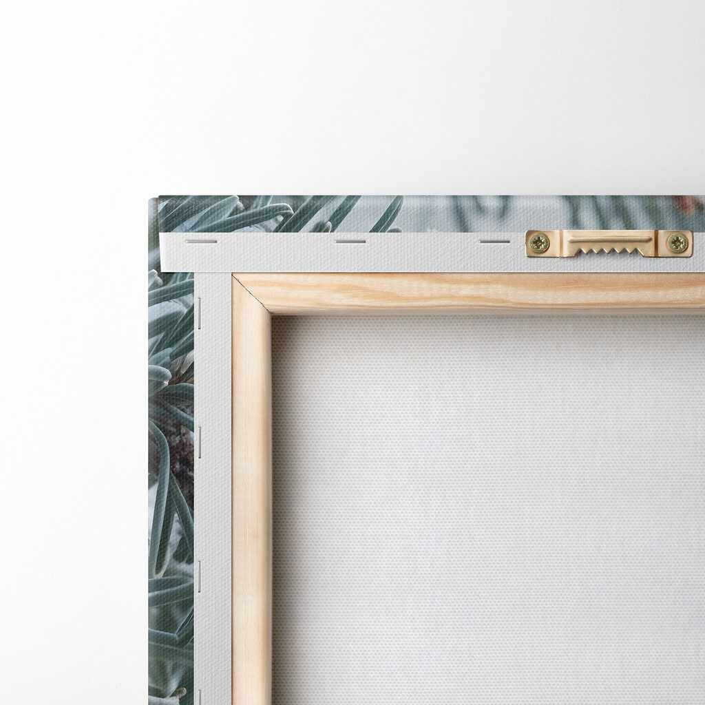 Winter berries amidst frosty branches