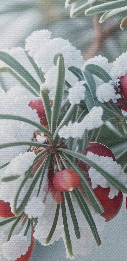 Winter berries amidst frosty branches