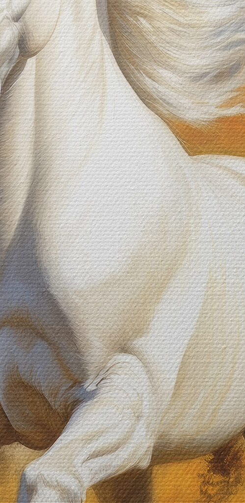 Group of horses running in a field