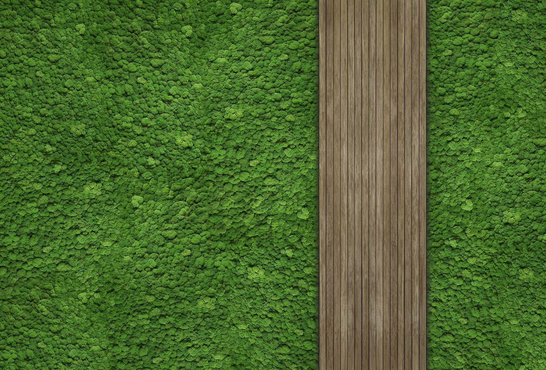 Wood plank on a green wall