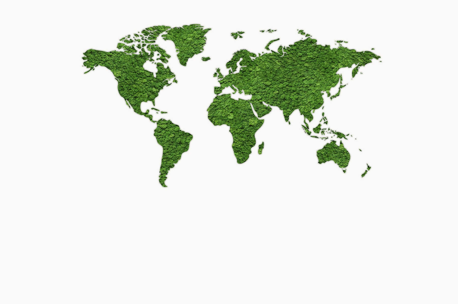 Map of the world made of green plants