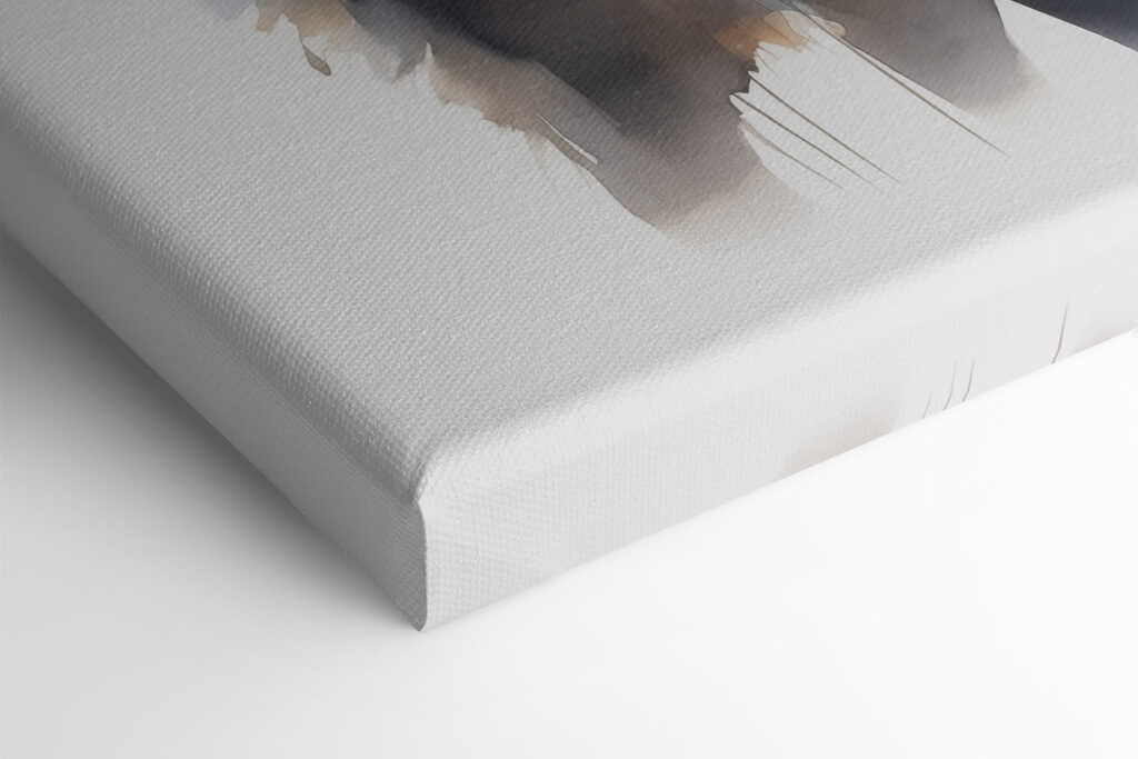 Cat with long whiskers Cat with long whiskers