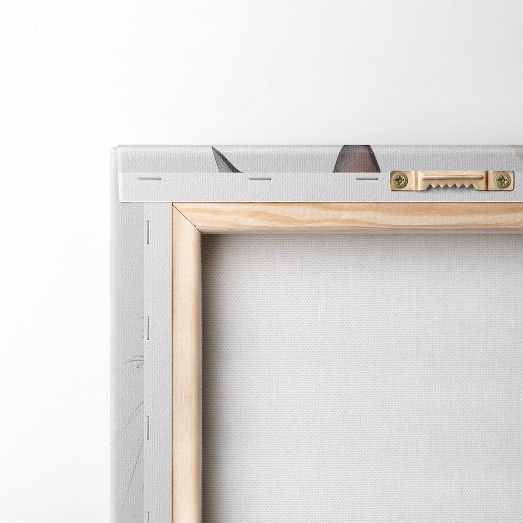 Cat with long whiskers Cat with long whiskers