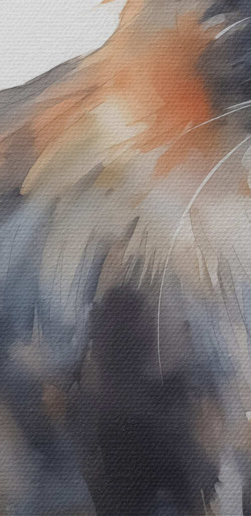 Cat with long whiskers Cat with long whiskers