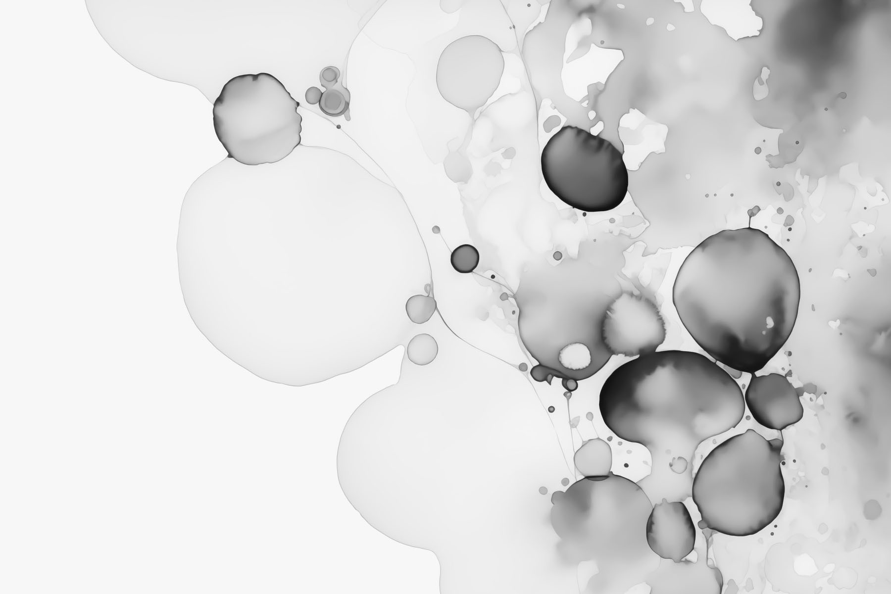 Fluid black and white abstract art