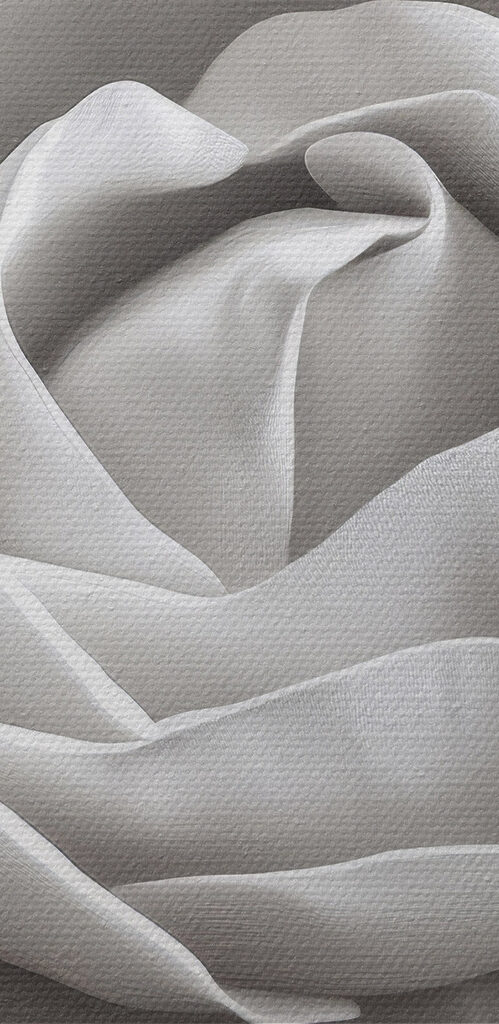 Delicate beauty in soft petals