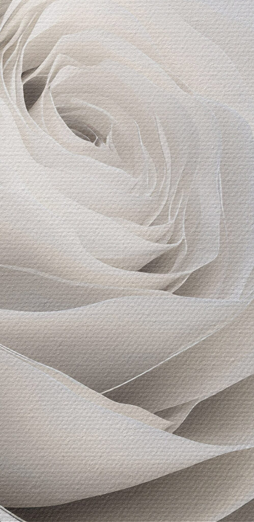 Delicate petals in soft harmony
