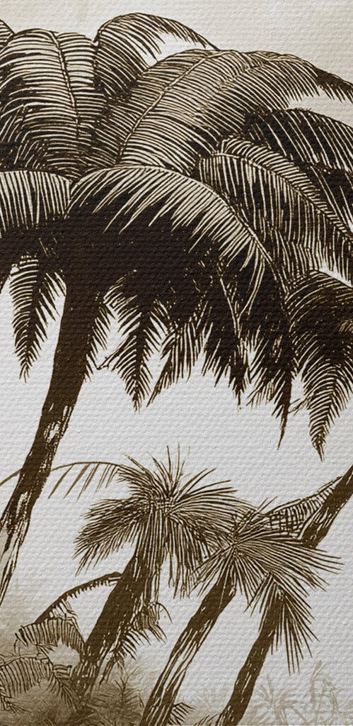 Group of palm trees in a forest