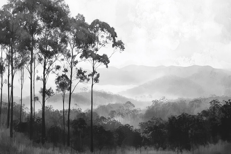 Forest with trees and mountains in the background Forest with trees and mountains in the background