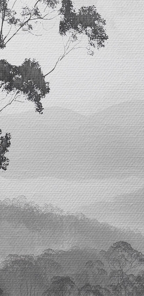 Forest with trees and mountains in the background