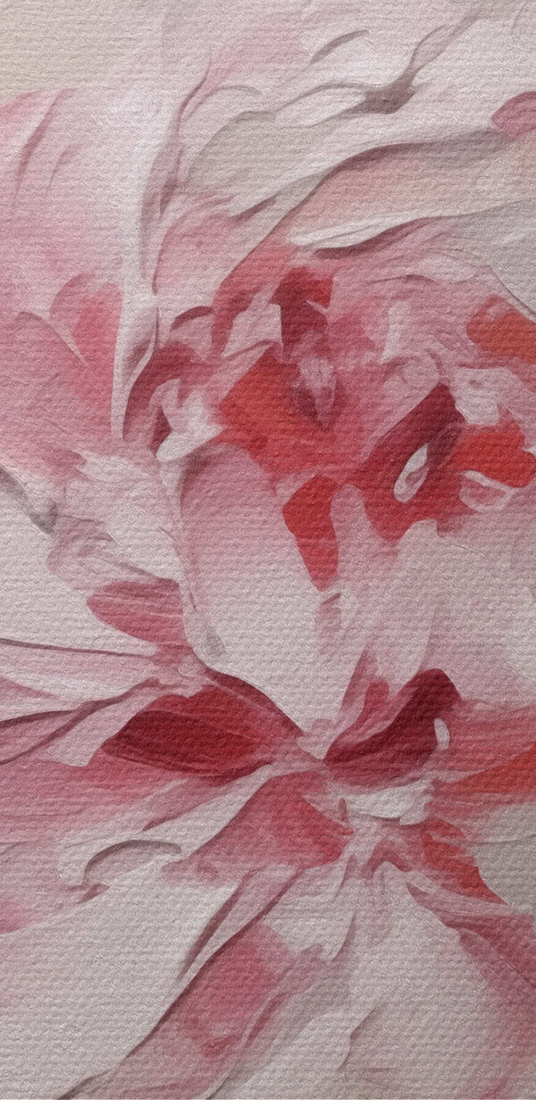 Delicate petals in soft hues Delicate petals in soft hues